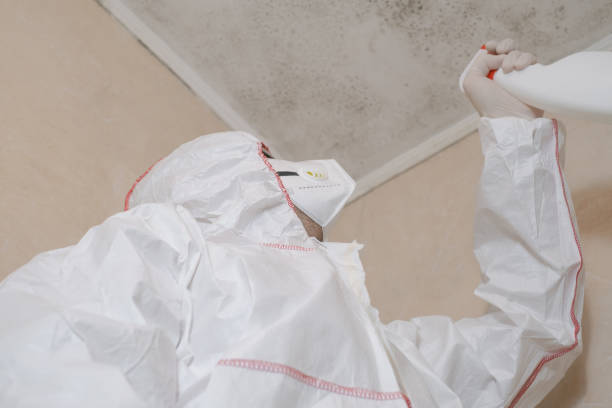 Best Mold Cleaning Services  in Kahaluu, HI