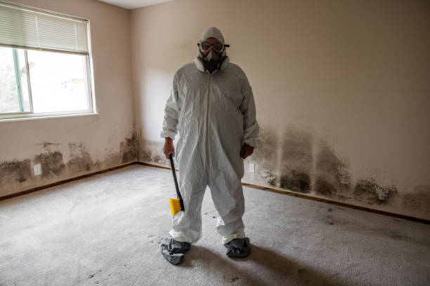 Best Mold Remediation Services  in Kahaluu, HI